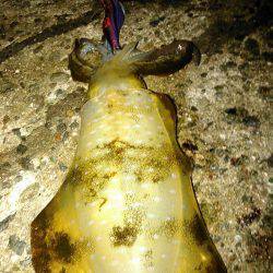 まあまあえーサイズ